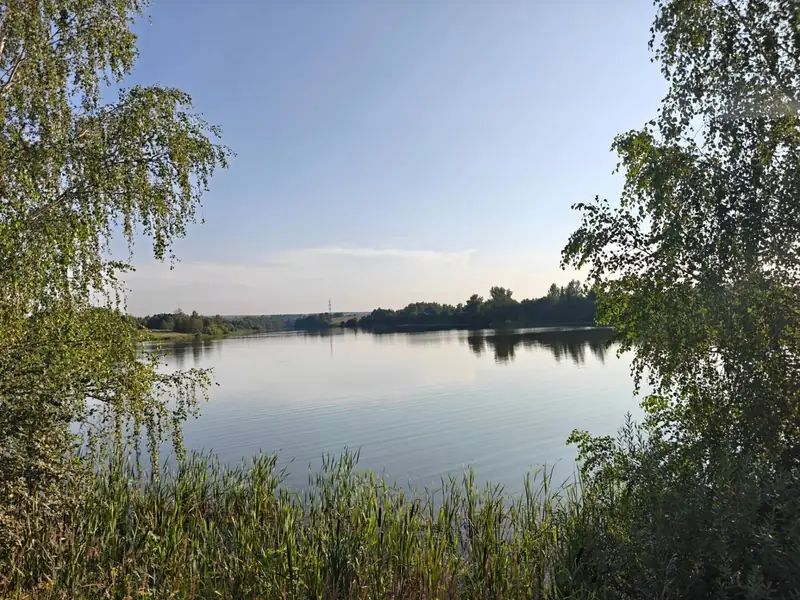 Участок 3,95 га у воды, Московская область — фото 5