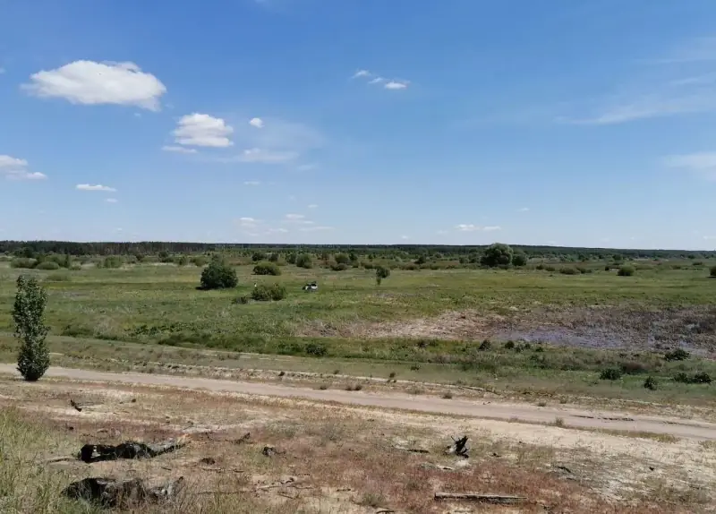 Участок 23,74 га рекреация у воды, Боровое, Воронеж, Воронежская область — фото 3