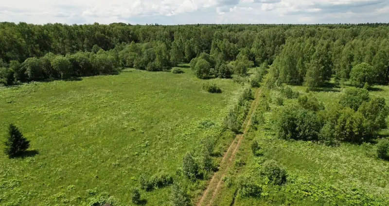 Участок 4,1 га (СНТ, ДНП), Рузский р-н, Московская область — фото 3