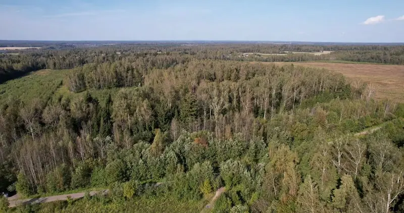Участок 9,6 га (СНТ, ДНП), Рузский район, Московская область — фото 10