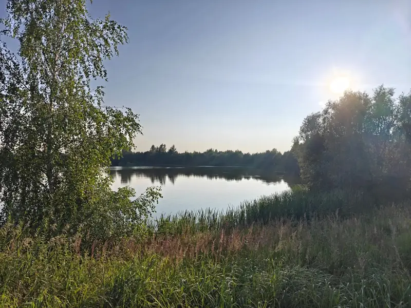 Участок 3,95 га у воды, Московская область — фото 7