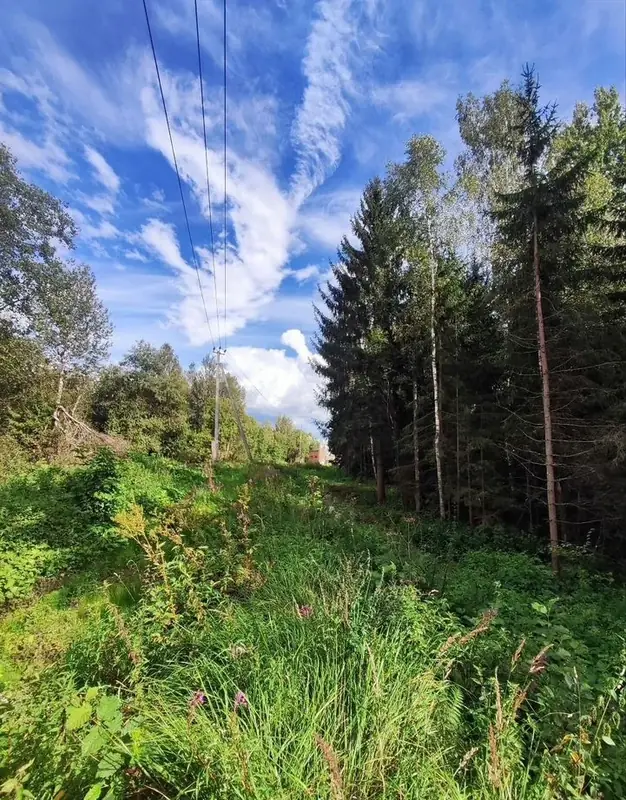 Участок 3,05 га, Волоколамский городской округ, Московская область — фото 16