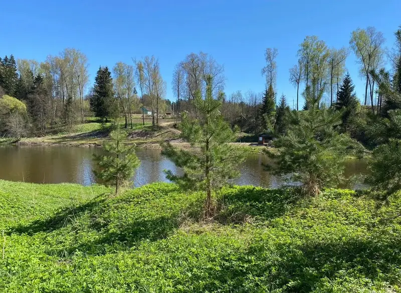 Участок 6,17 га (ИЖС), Рузский городской округ, Московская область — фото 8