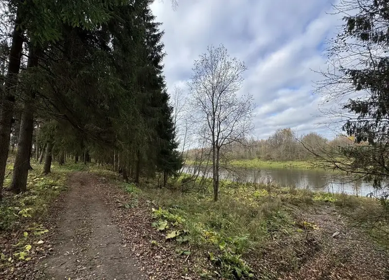 Участок 6,17 га (ИЖС), Рузский городской округ, Московская область — фото 11