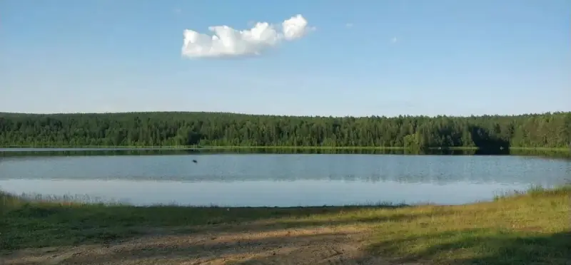 Участок  под базу отдыха, город Нижний Тагил, Свердловская область — фото 5