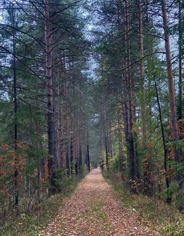 Участок  под базу отдыха, город Нижний Тагил, Свердловская область — фото 11