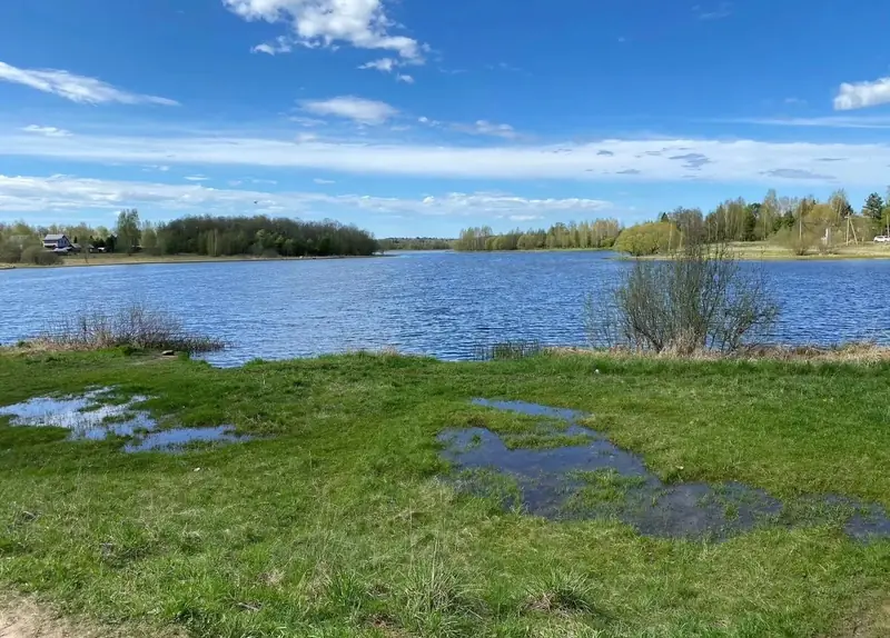 Участок 9,4 га (СНТ, ДНП), Рузский район, расположенного в границах участка. Ориентир д. Новая. Почтовый адрес ориентира: Московская область — фото 9