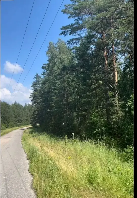 Участок 97 сот. под базу отдыха у воды, Обские плесы, Тальменский район, Алтайский край — фото 4