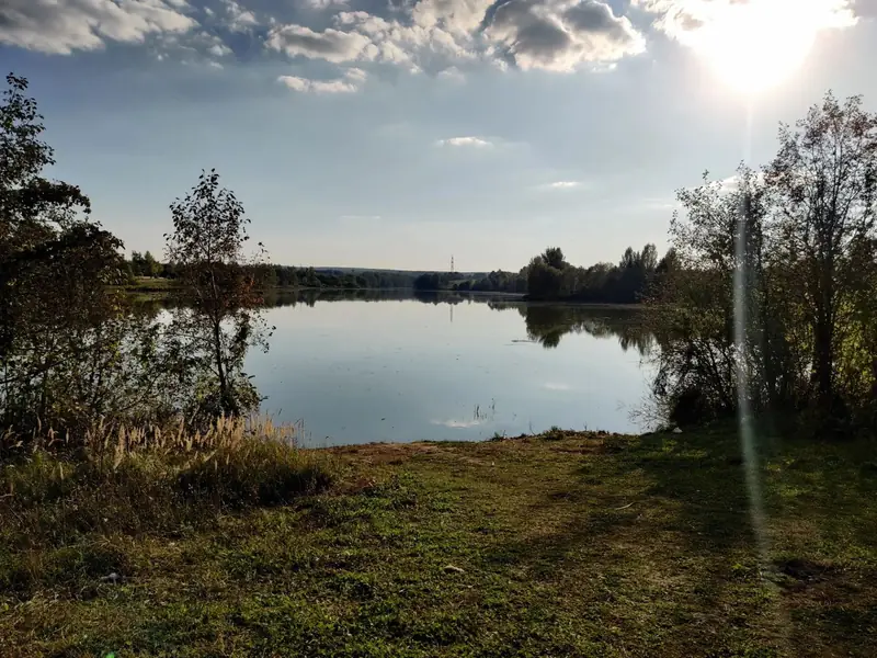 Участок 3,95 га у воды, Московская область — фото 15
