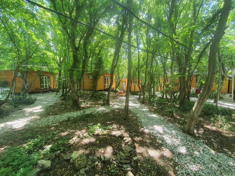Участок 1.5 га в кринице., Краснодарский край — фото 4