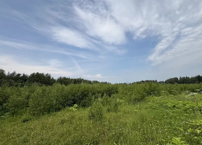 Участок 9,6 га (СНТ, ДНП), Рузский район, Московская область — фото 11