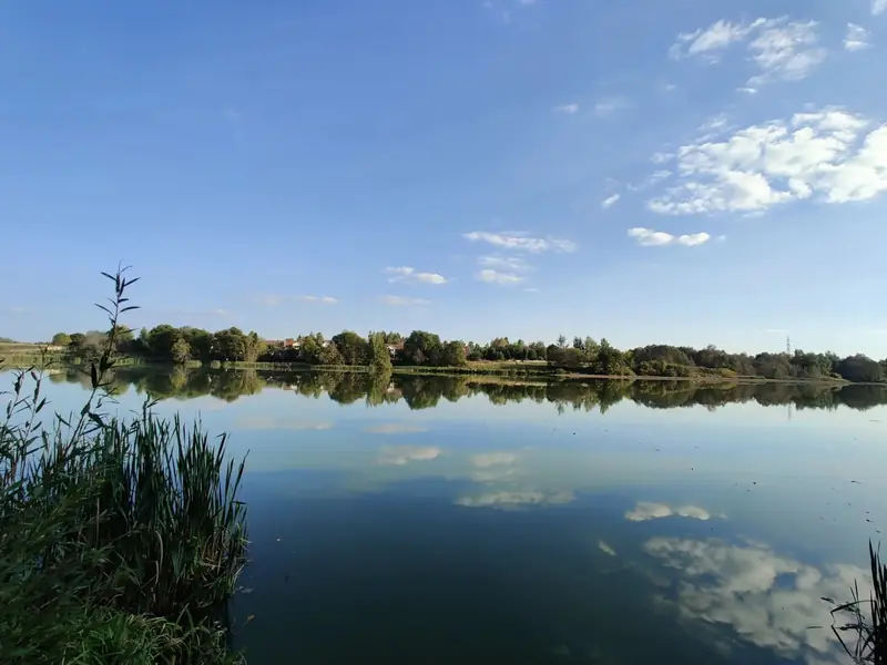 Участок 3,95 га у воды, Московская область — фото 13