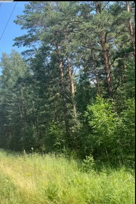 Участок 97 сот. под базу отдыха у воды, Обские плесы, Тальменский район, Алтайский край — фото 2