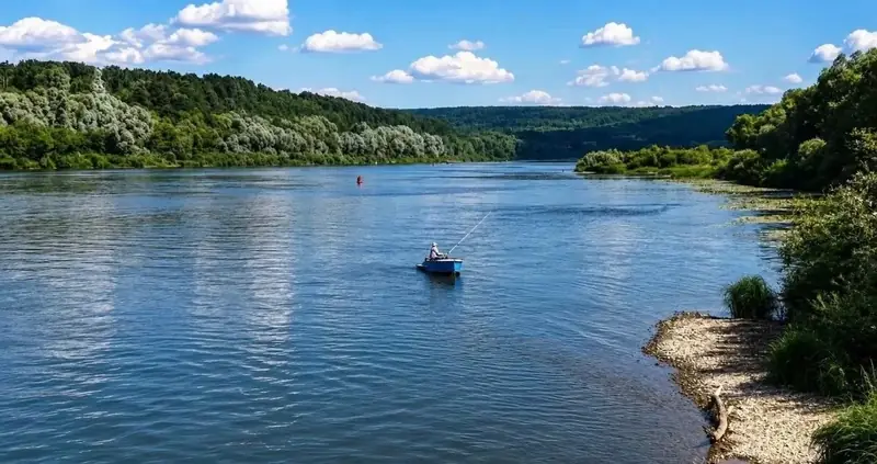 Участок 4 га ижс, Велегож, Заокский район, Тульская область — фото 6