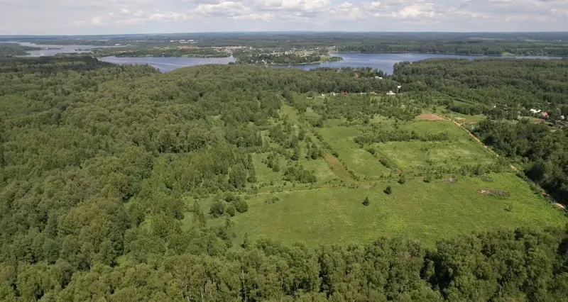 Участок 4,1 га (СНТ, ДНП), Рузский р-н, Московская область — фото 10