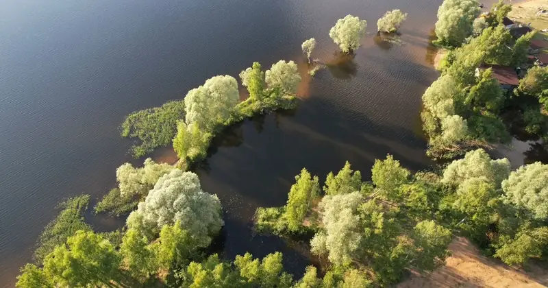 Участок 2 га (ИЖС), Рузский район, Московская область — фото 11