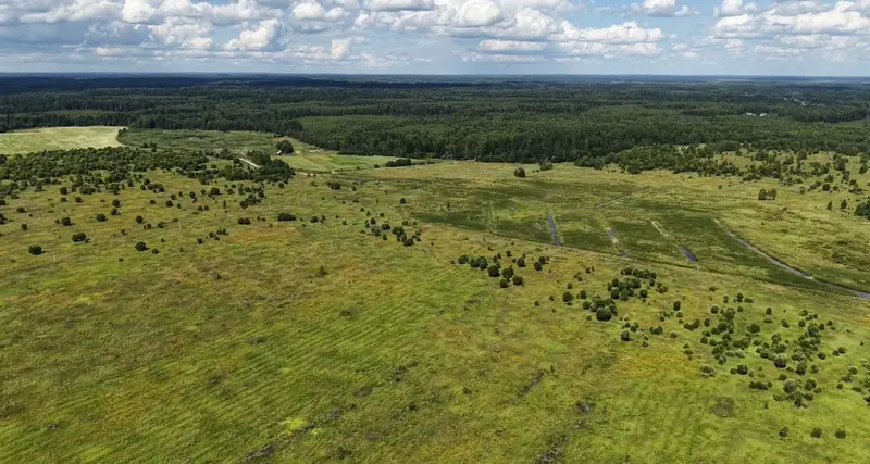 Участок 68,31 га, Можайский район, Московская область — фото 7