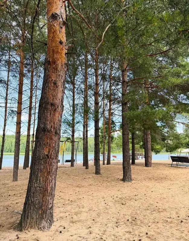 База отдыха у Камы/ Готовый арендный бизнес, Пермский край — фото 6