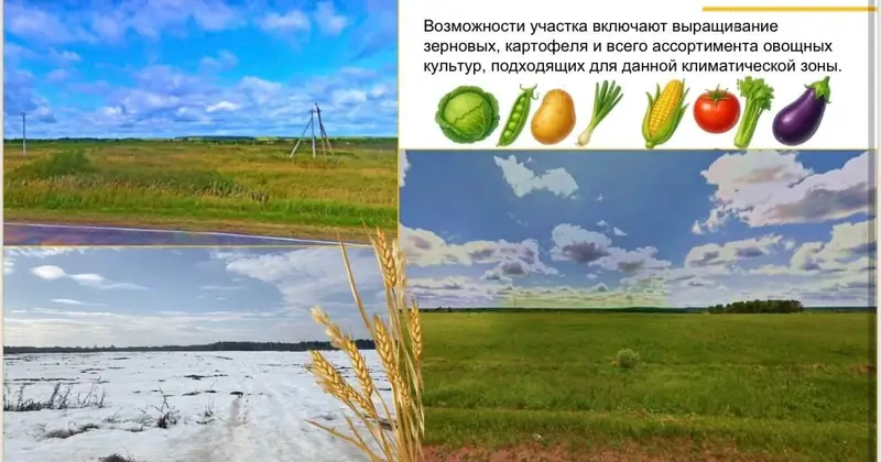 Участок 68,31 га, Можайский район, Московская область — фото 5
