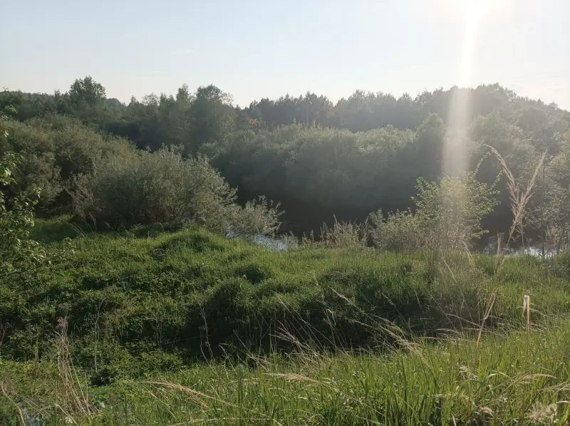 Участок 12,2 га агротуризм первая линия, юго-западнее д. Климово, м.о. Новоржевский, Псковская область — фото 18