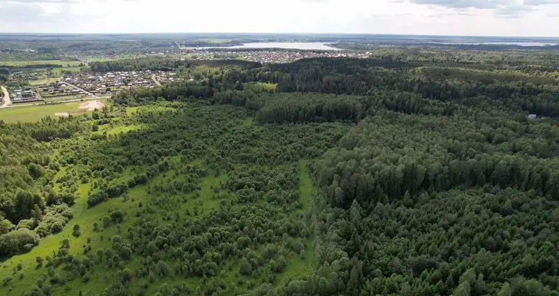 Участок 80 га (СНТ, ДНП), Московская область — фото 14