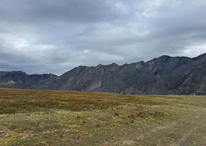 Участок 100 сот., Онгудайский район, Республика Алтай — фото 6