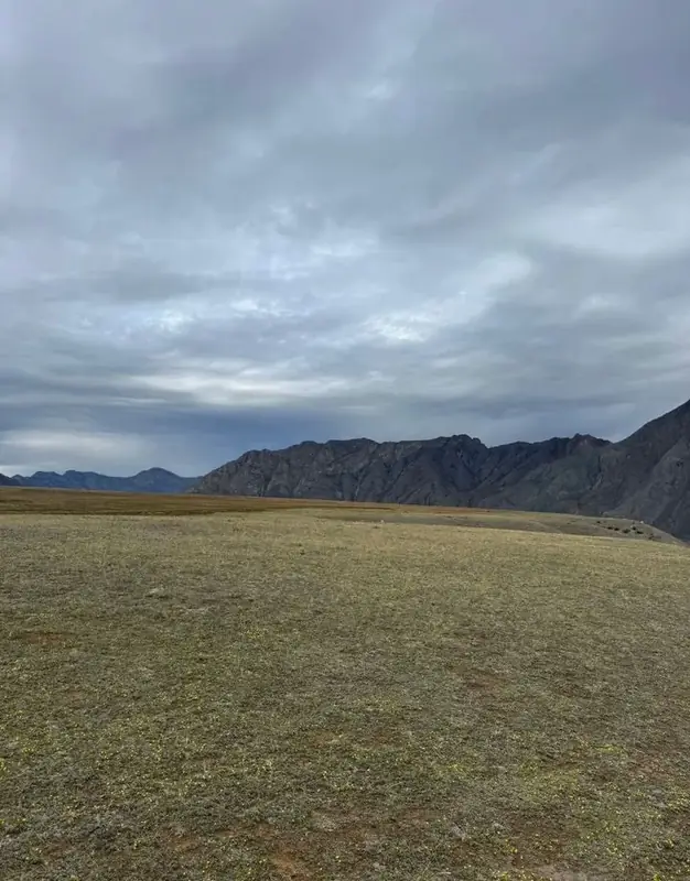 Участок 100 сот., Онгудайский район, Республика Алтай — фото 4
