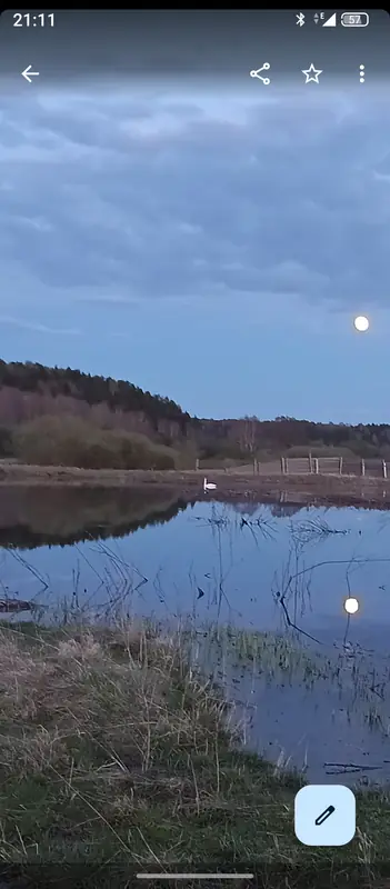 Участок 7,2га с прудом в Глазовском районе, Удмуртская Республика — фото 7