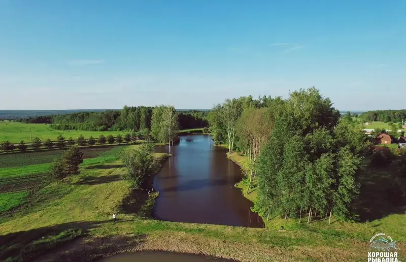 Готовый бизнес под базу отдыха, Ясногорский район, Тульская область — фото 10