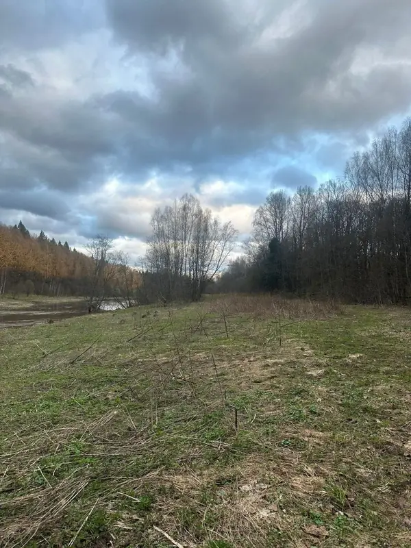 Участок у воды 70км от мкада, Жуковский муниципальный район, Калужская область — фото 3