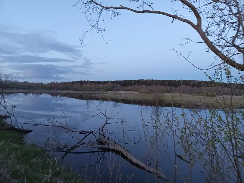 Участок 7,2га с прудом в Глазовском районе, Удмуртская Республика — фото 10