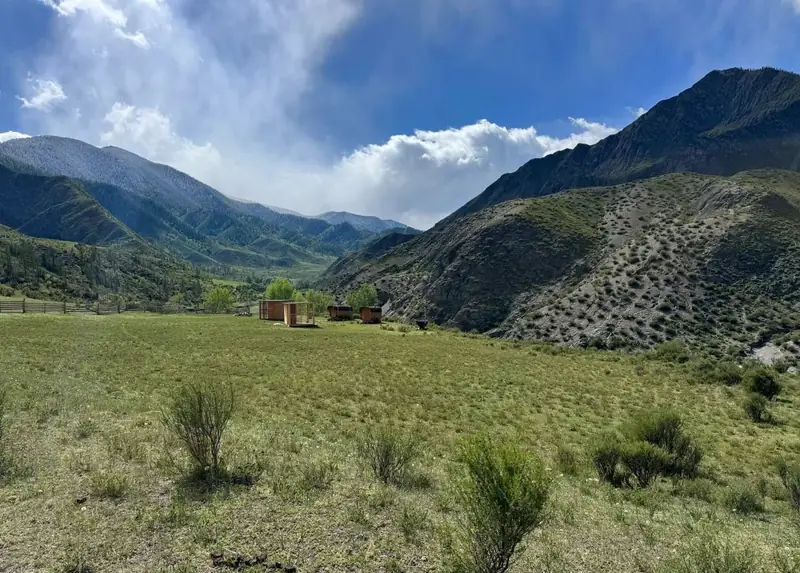 Участок 3,3 га, Онгудайский район, Республика Алтай — фото 16