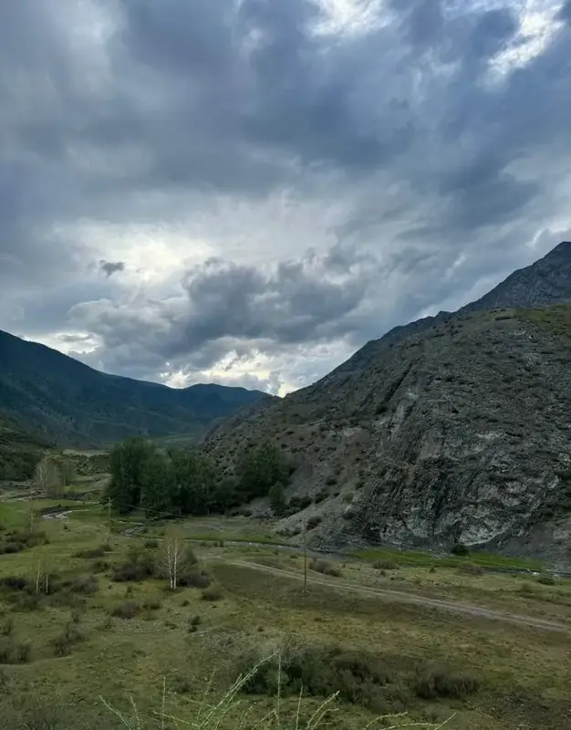 Участок 50 сот., Онгудайский район, Республика Алтай — фото 12