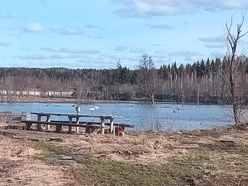 Участок 7,2га с прудом в Глазовском районе, Удмуртская Республика — фото 4