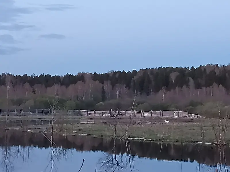 Участок 7,2га с прудом в Глазовском районе, Удмуртская Республика — фото 9