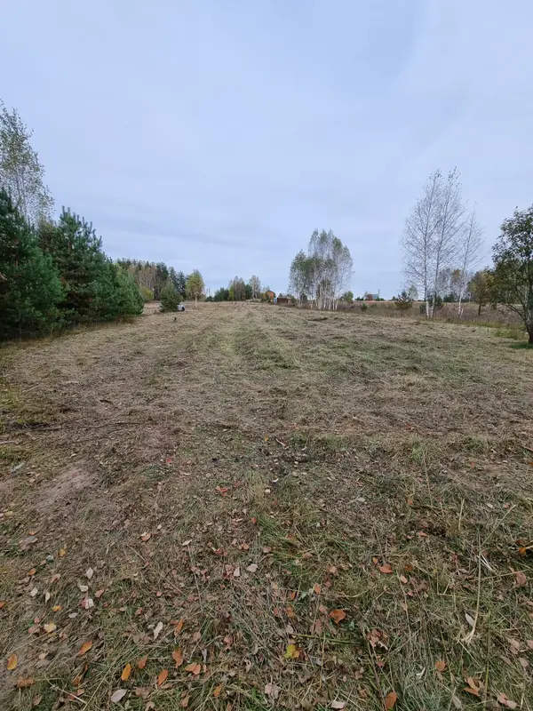 90 соток в живописном селе у леса и речки, Судогодский, Владимирская область — фото 5