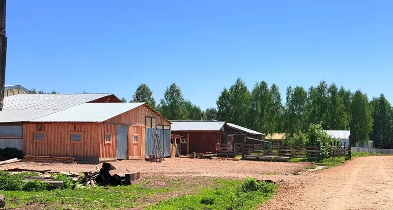 Глэмпинг в 40 минутах от Нижнего Новгорода, Борский район, Нижегородская область — фото 18