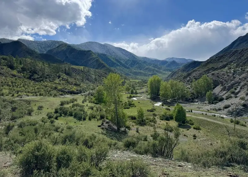 Участок 3,3 га, Онгудайский район, Республика Алтай — фото 20