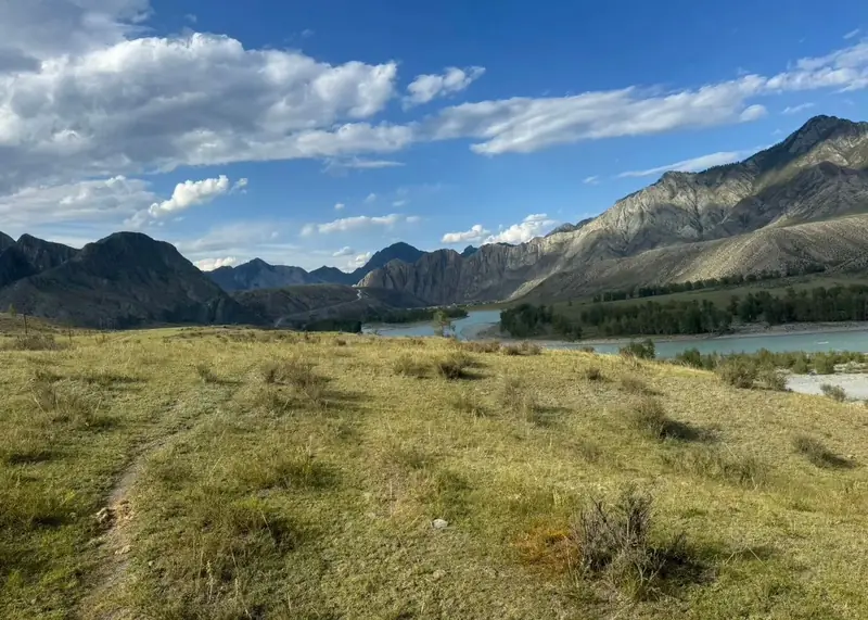 Участок 50 сот., Онгудайский район, Республика Алтай — фото 8