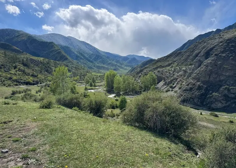 Участок 3,3 га, Онгудайский район, Республика Алтай — фото 12
