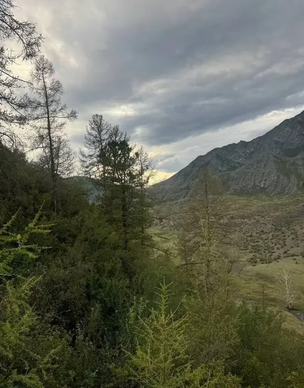 Участок 50 сот., Онгудайский район, Республика Алтай — фото 1