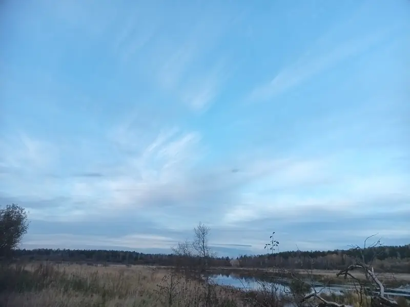 Участок 7,2га с прудом в Глазовском районе, Удмуртская Республика — фото 6